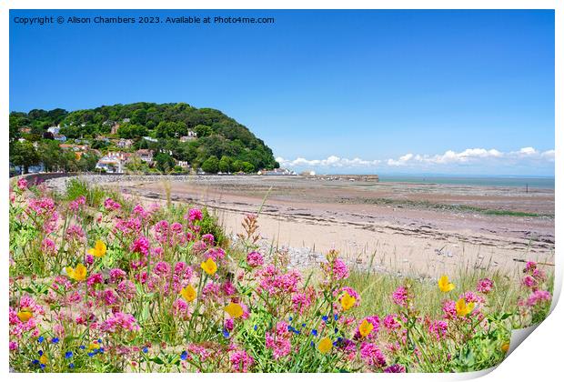 Minehead Beach Print by Alison Chambers