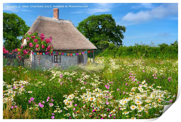 English Thatched Cottage and Wildflower Meadow Print by Alison Chambers