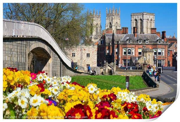 York Minster Cathedral  Print by Alison Chambers