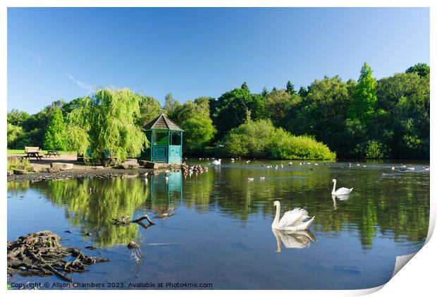 Golden Acre Park Leeds Print by Alison Chambers