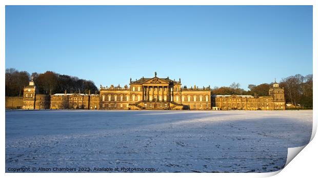 Wentworth Woodhouse Winter Wonderland  Print by Alison Chambers