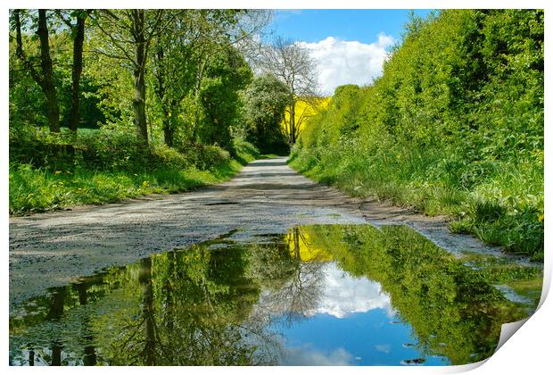 Country Lane Puddle Print by Alison Chambers