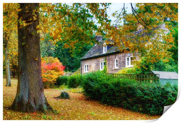 Autumn in Wentworth Village Print by Alison Chambers