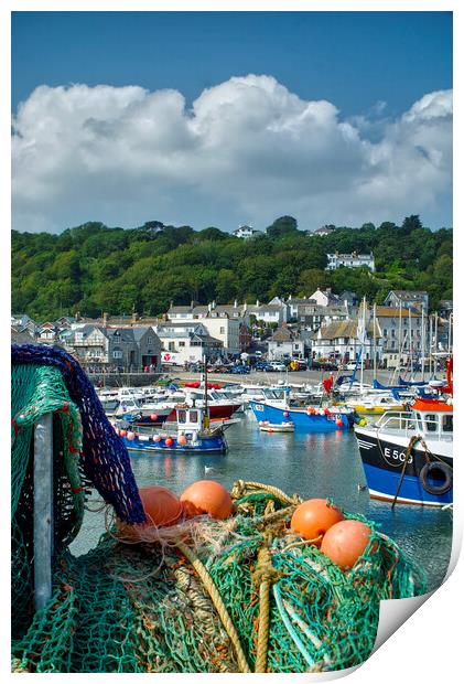 Lyme Regis Harbour  Print by Alison Chambers