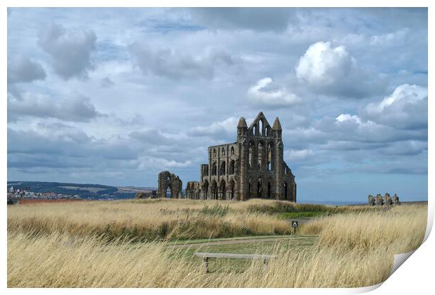 Whitby Abbey Print by Alison Chambers