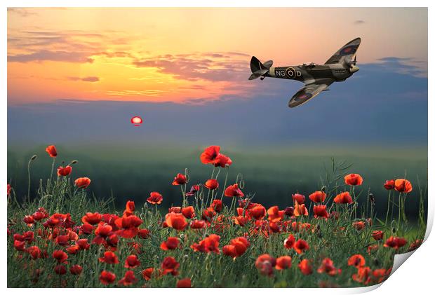 Spitfire Poppy Flight Print by Alison Chambers
