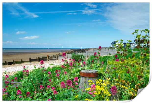 Whitstable Coastal Flowers Print by Alison Chambers