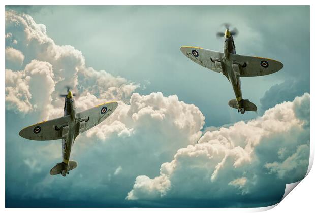 Graceful Spitfires Print by Alison Chambers