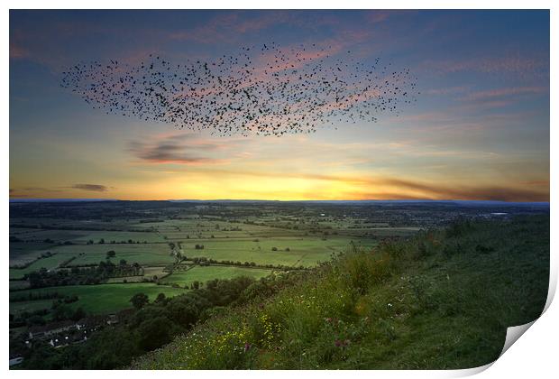 Somerset Levels Starling Murmuration Print by Alison Chambers