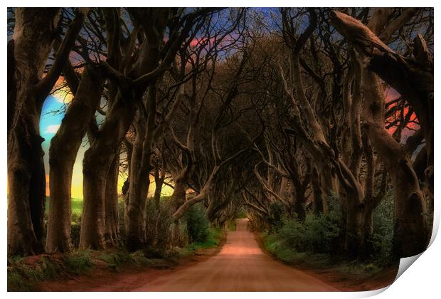 Dark Hedges  Print by Alison Chambers