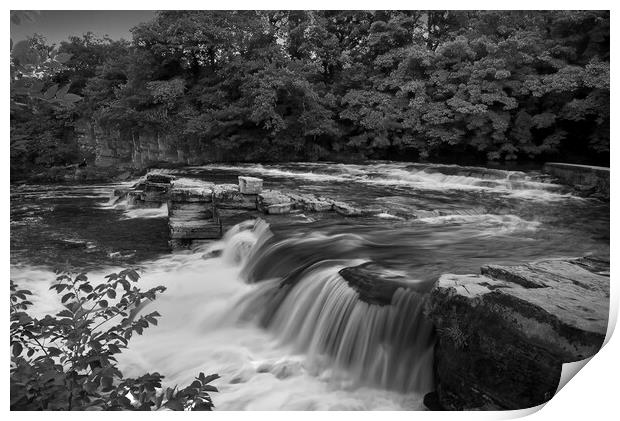 Richmond Falls BW Print by Alison Chambers