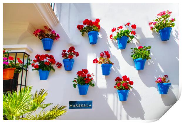 Marbella Geraniums  Print by Alison Chambers