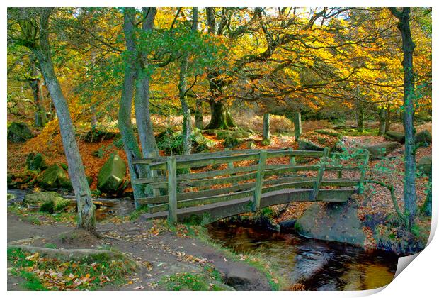 Padley Gorge Print by Alison Chambers