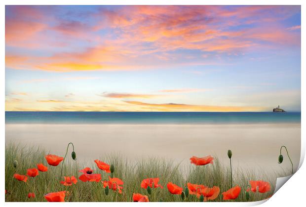 Cornish Coast Print by Alison Chambers