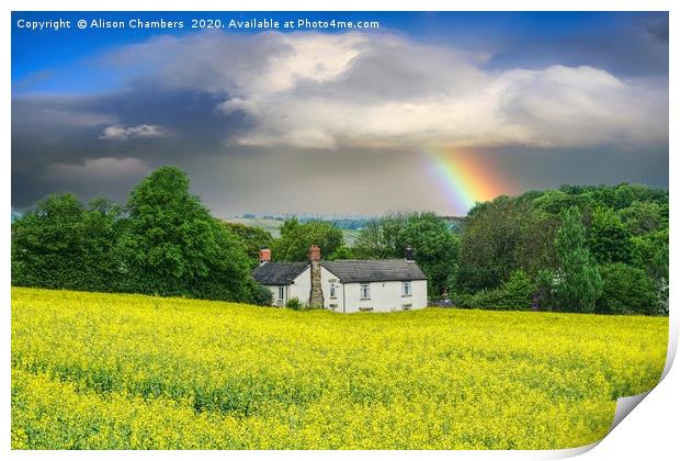 Summer Storm Print by Alison Chambers