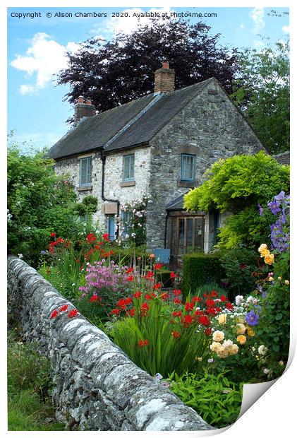 Parwich Cottage Print by Alison Chambers
