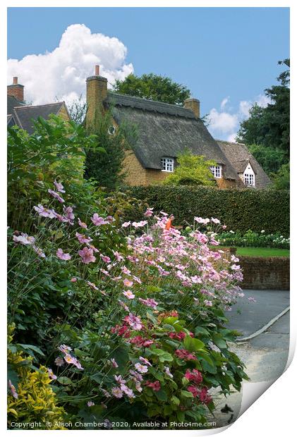 Anemone Cottage Ilmington Print by Alison Chambers