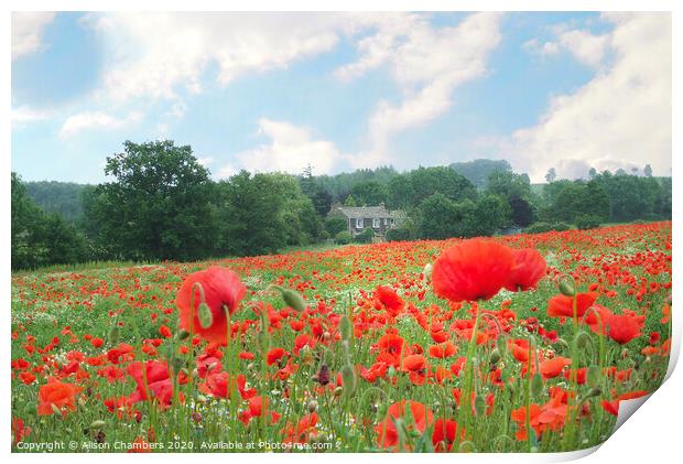 Country Poppies Print by Alison Chambers
