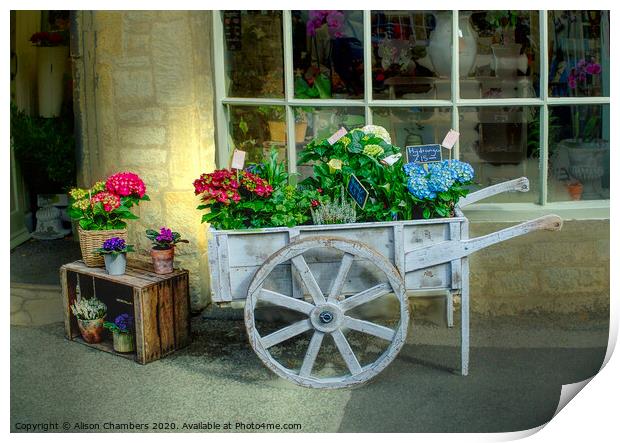 The Florist's Shop Print by Alison Chambers