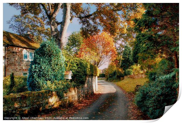 Autumn Lane in Yorkshire  Print by Alison Chambers