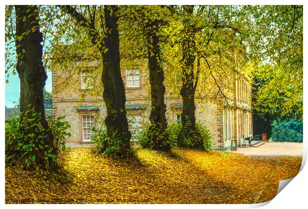 Cannon Hall In The Autumn  Print by Alison Chambers