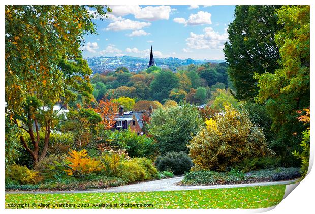  Autumn Bliss in Sheffield Botanical Gardens  Print by Alison Chambers