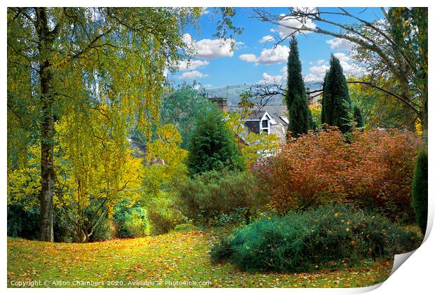 Sheffield Botanical Gardens Autumn Print by Alison Chambers