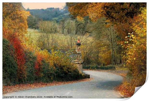 Autumn in Ashover Print by Alison Chambers