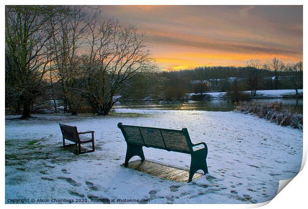 Dearne Valley Park Barnsley  Print by Alison Chambers