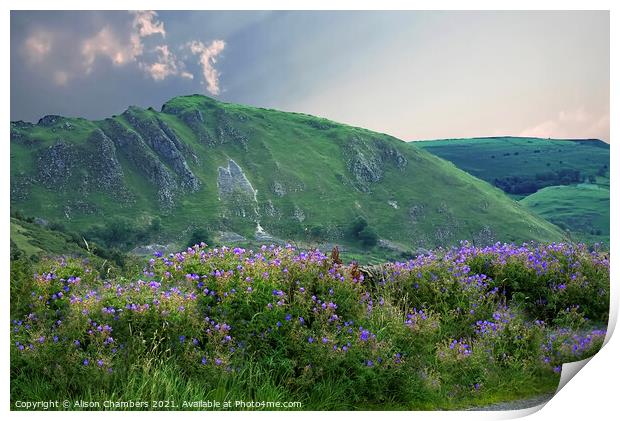 Chrome Hill Print by Alison Chambers