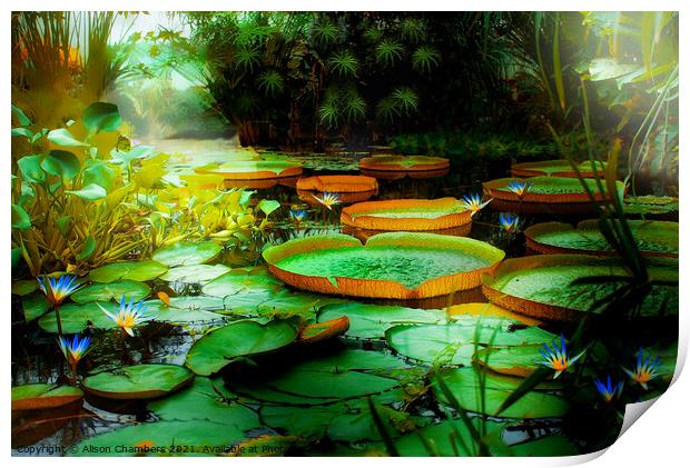 Jungle Lagoon Lily Pads Print by Alison Chambers