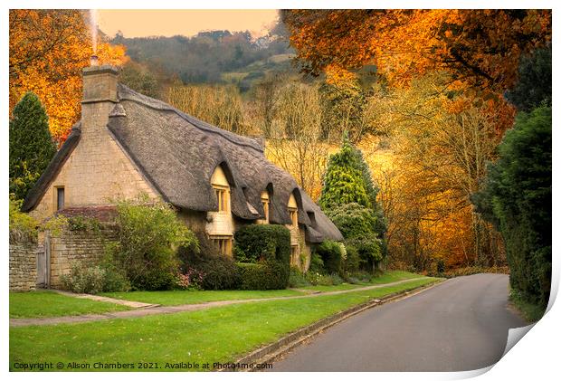 English Cottage  Print by Alison Chambers