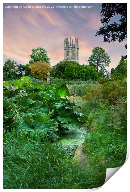 Oxford Magdalen College Print by Alison Chambers
