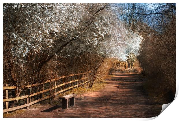 Worsbrough Mill Blossom Seat Print by Alison Chambers