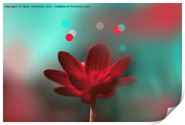 Turquoise and Red Aesthetic  Print by Alison Chambers