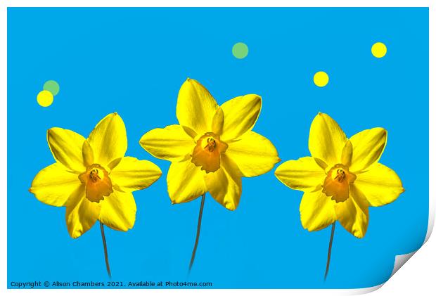 Daffodil Sunshine Print by Alison Chambers