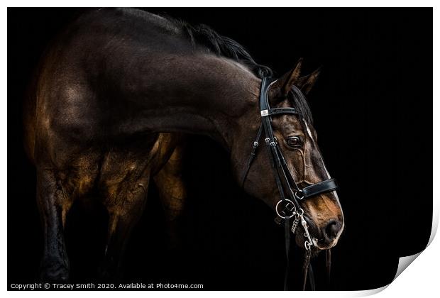 The Dressage Horse Print by Tracey Smith