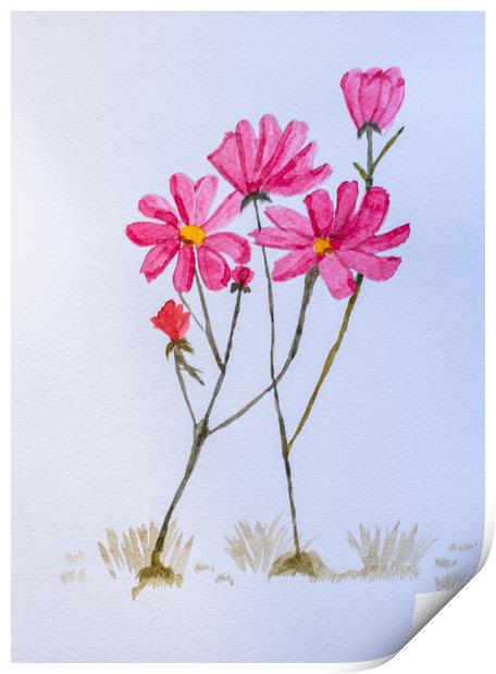 Artwork. Watercolor of pink flowers Print by David Galindo