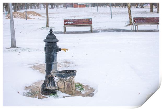 water fountain in the park with snow in winter Print by David Galindo