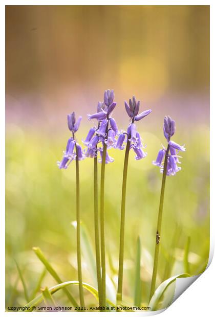 Bluebells to attention Print by Simon Johnson