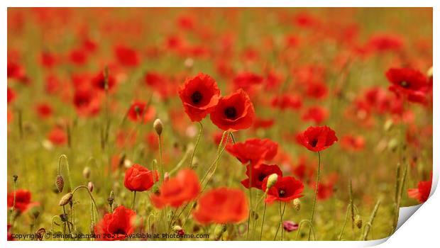 Pair of poppies Print by Simon Johnson