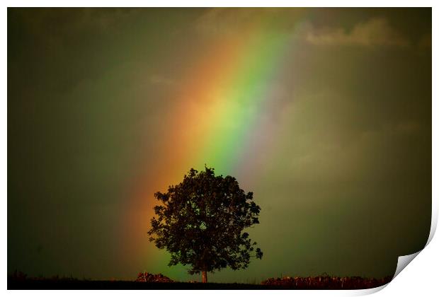 Rainbow tree Print by Simon Johnson
