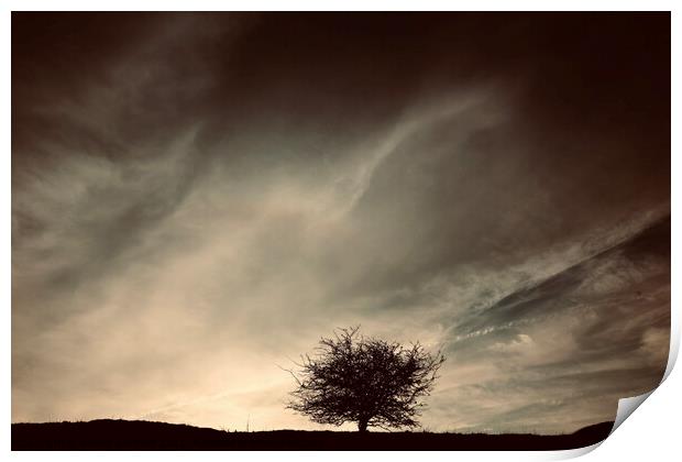 Tree and clouds Print by Simon Johnson