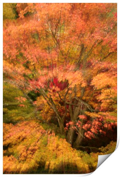 Autumn colour explosion Print by Simon Johnson