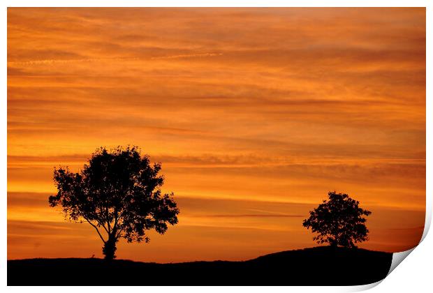 two trees and a sunset sky Print by Simon Johnson