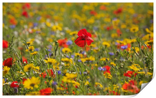 Wild flower meadow Print by Simon Johnson