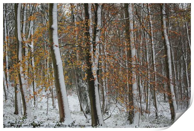 winter woodland Print by Simon Johnson