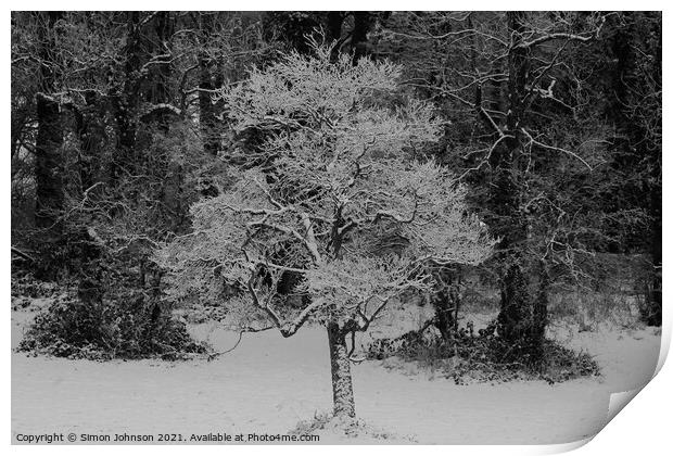 woodland snow Print by Simon Johnson