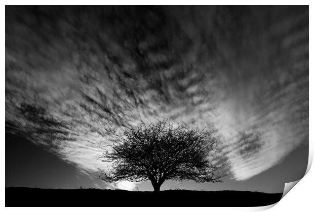 Tree and clouds Print by Simon Johnson