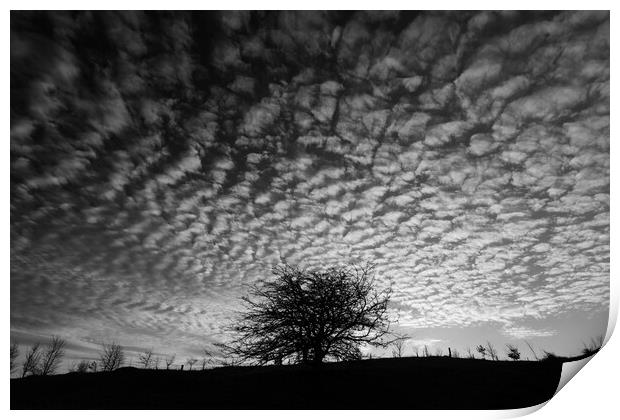 Sky cloud Print by Simon Johnson